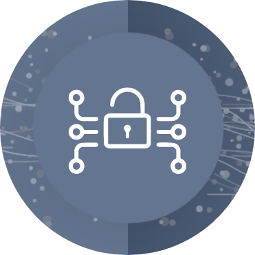 dyn_network_security_icon
