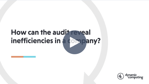 How Can the Audit Reveal Inefficiencies in a Company?