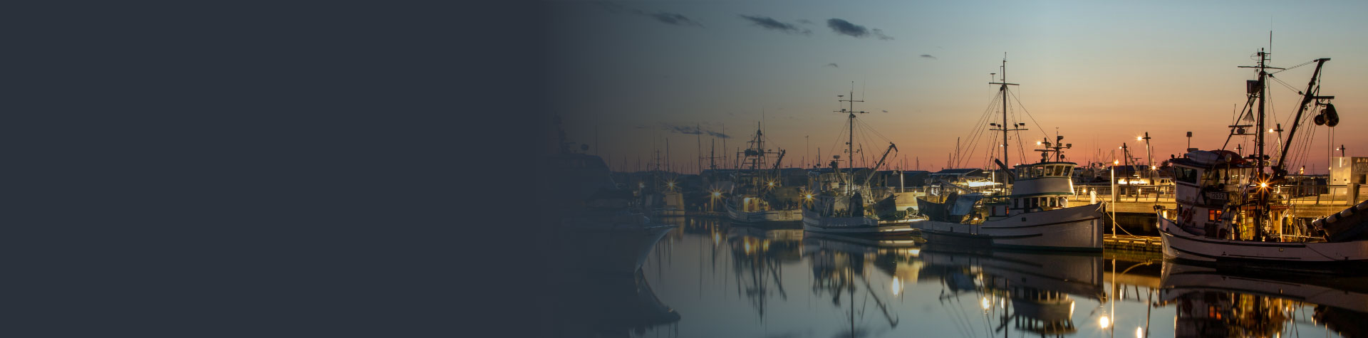 dc_everett_banner_opt