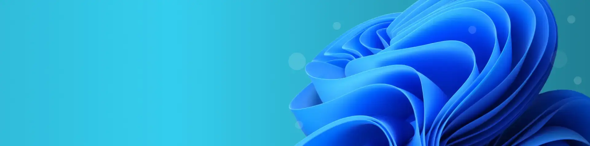 Managed IT Services for Windows 11 implementation.