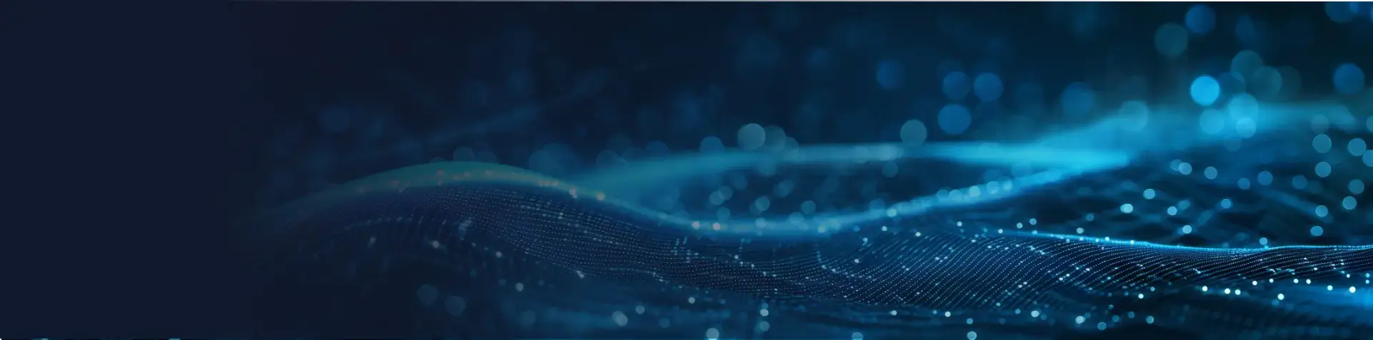 Dynamic Computing provides advanced firewalling services. 