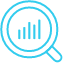Magnifying glass icon